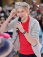 /album/one-direction/niall-4-jpg/